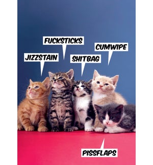 FR/Swearing Kittens